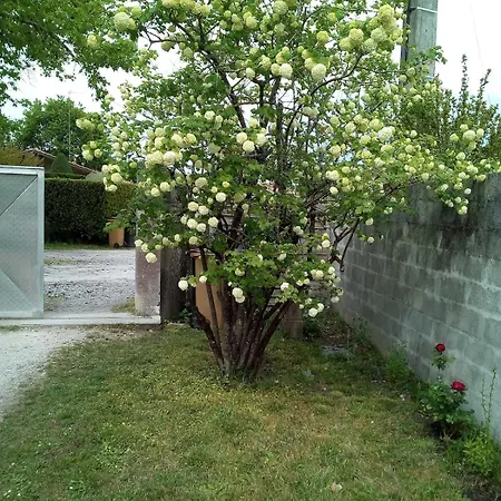 La Crapouillette Apartament Lège-Cap-Ferret