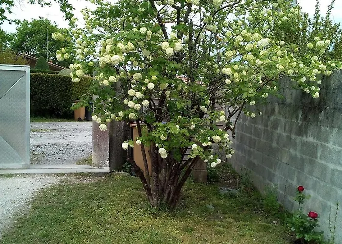 La Crapouillette Apartment Lege-Cap-Ferret